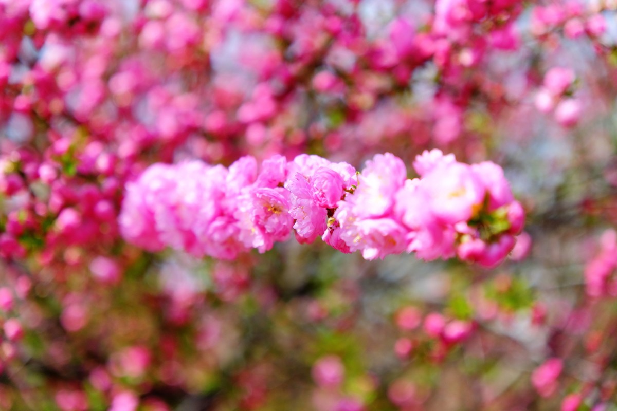 骑行路边随手拍