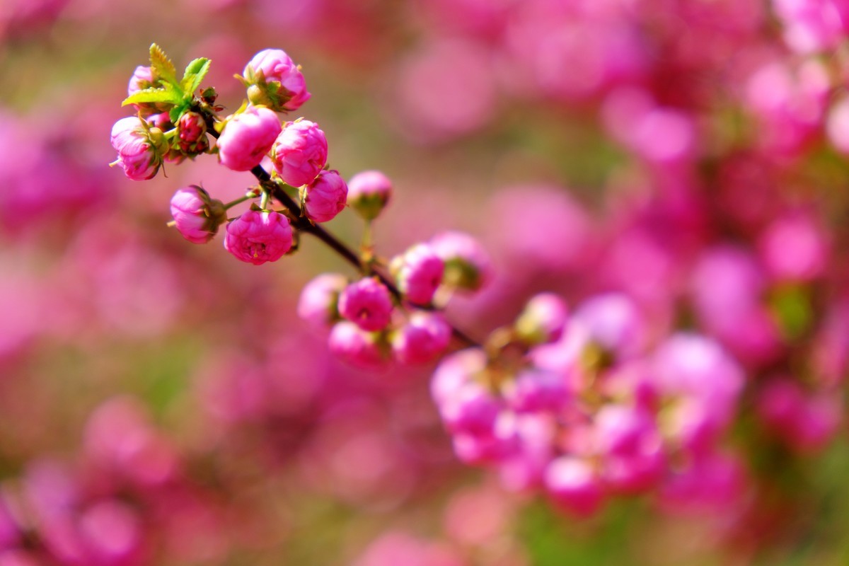 骑行路边随手拍