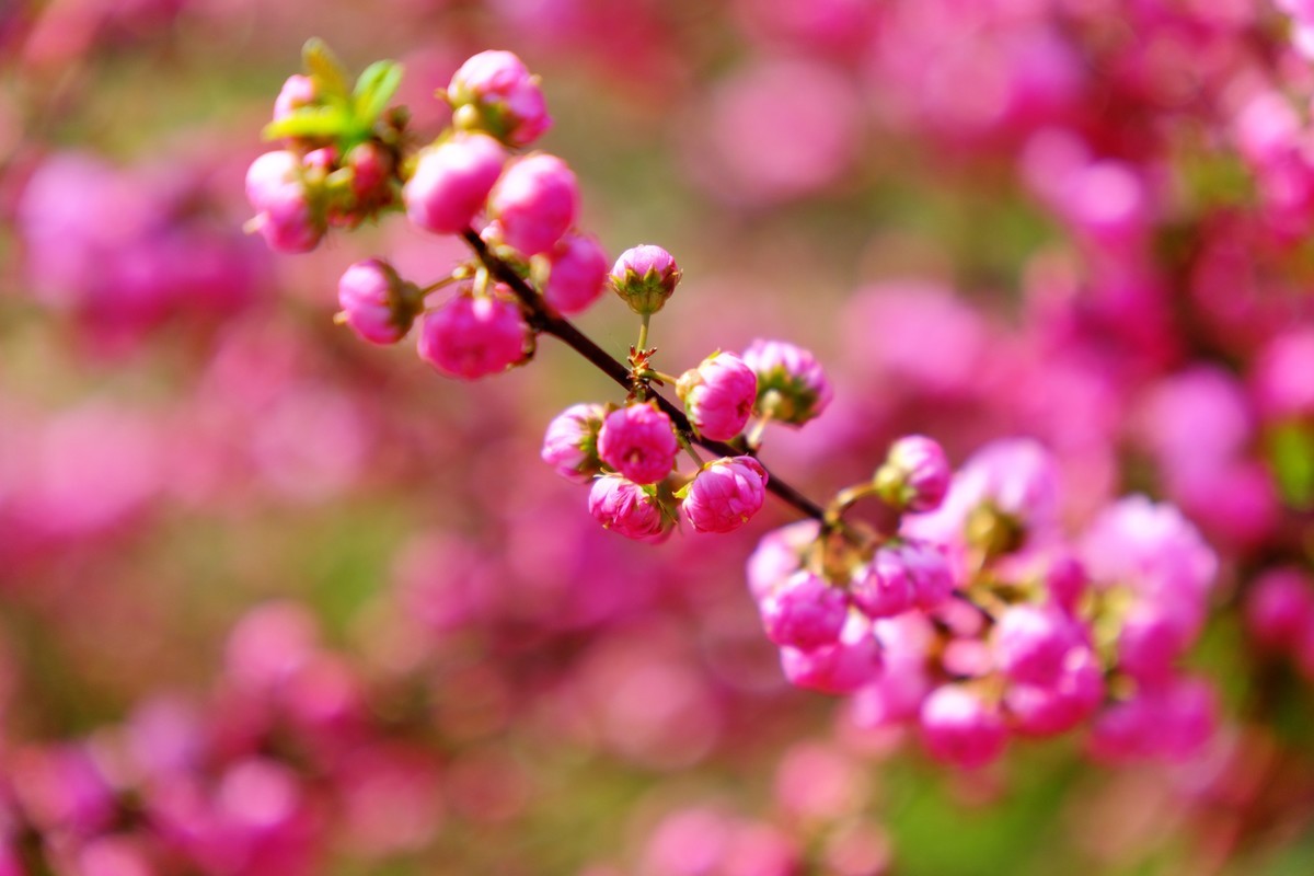 骑行路边随手拍