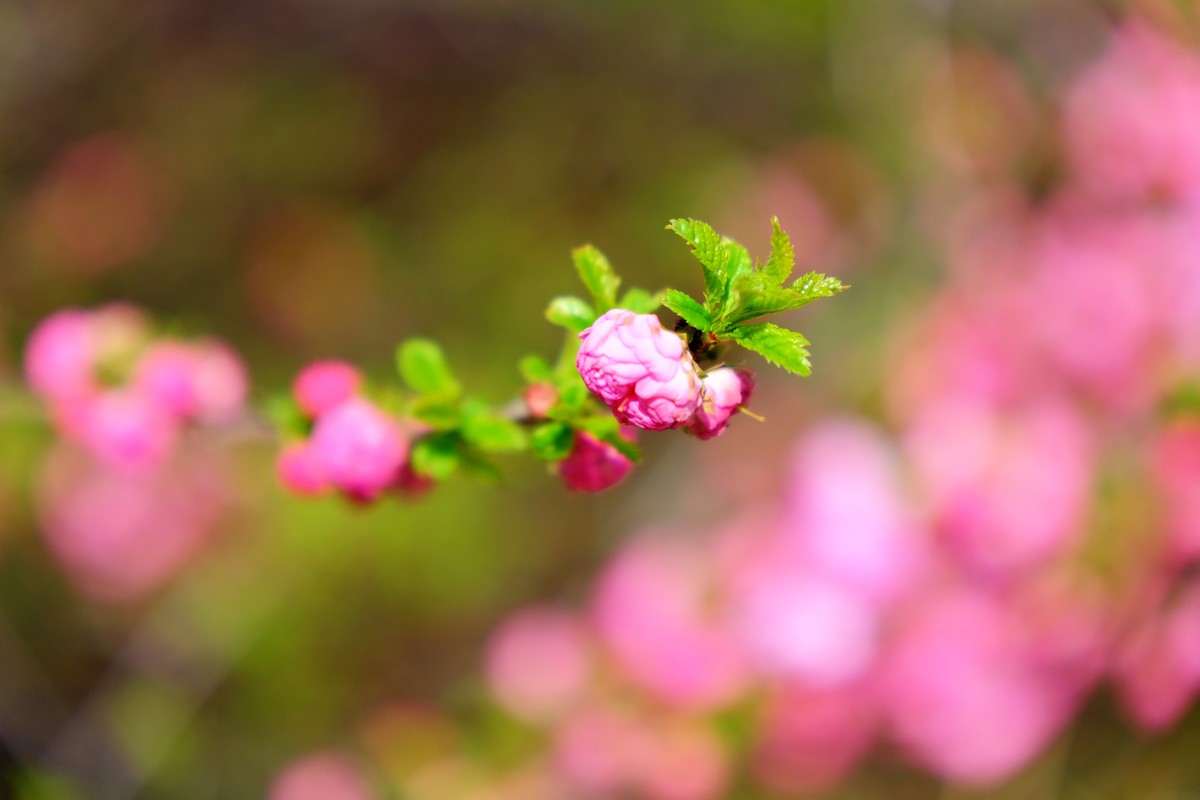 骑行路边随手拍