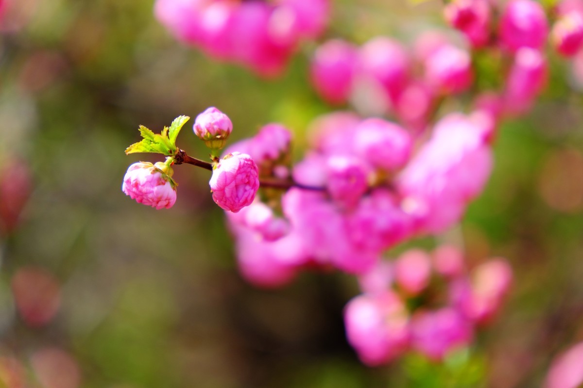 骑行路边随手拍