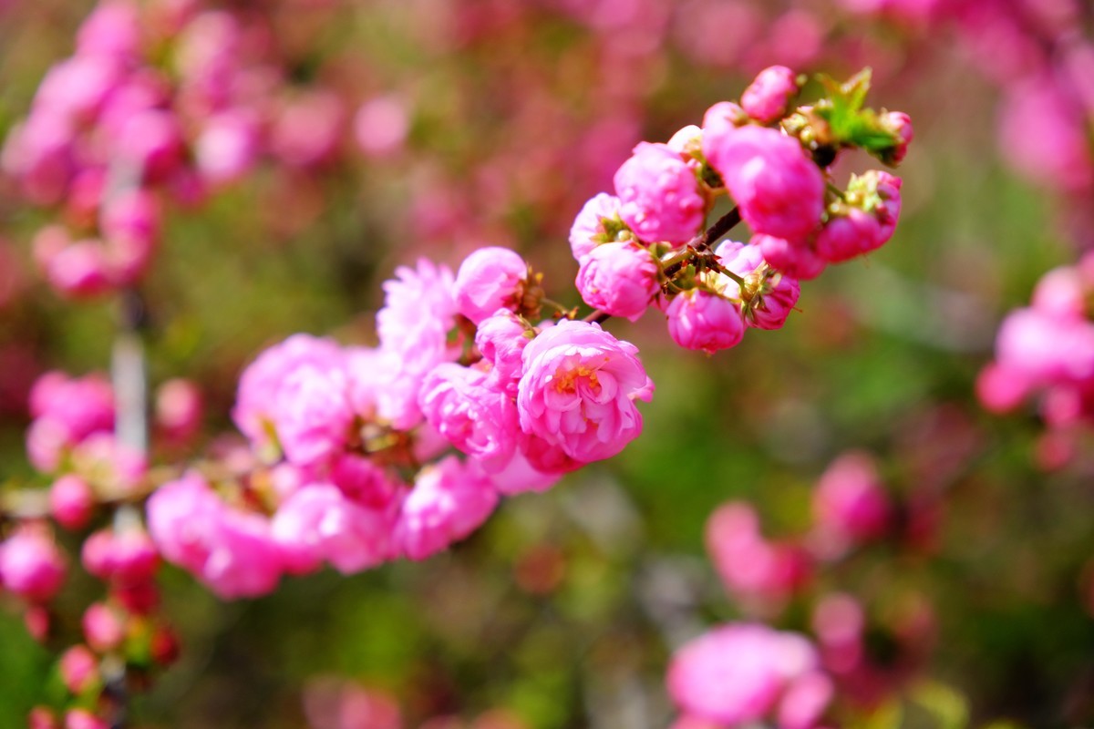 骑行路边随手拍