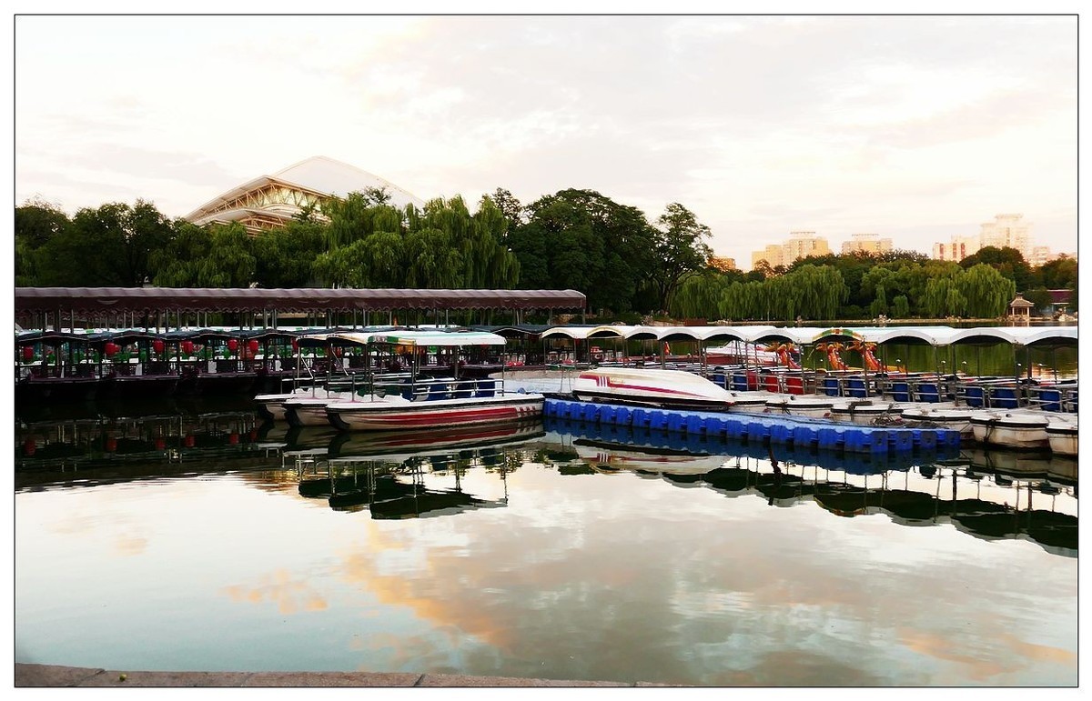 雨后  公园转转