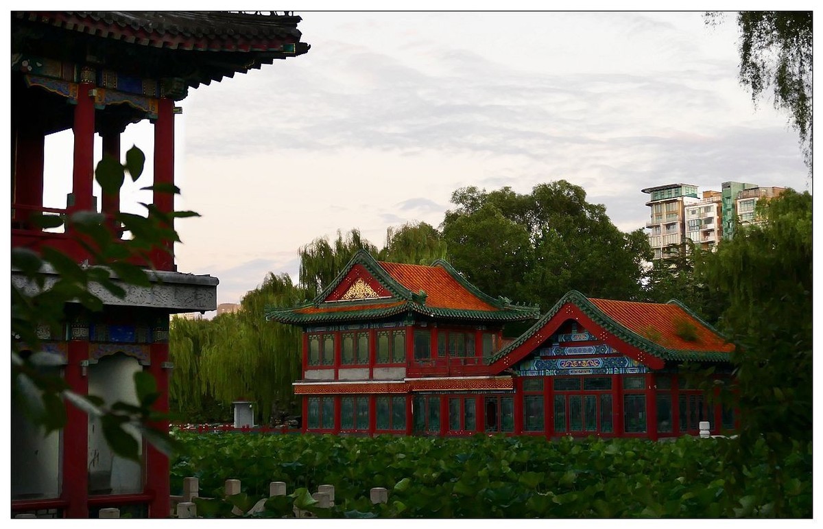 雨后  公园转转