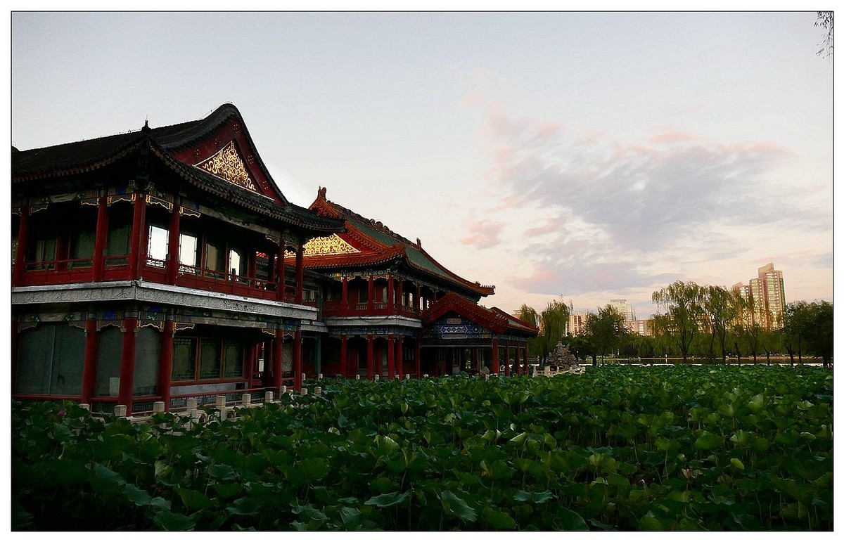 雨后  公园转转