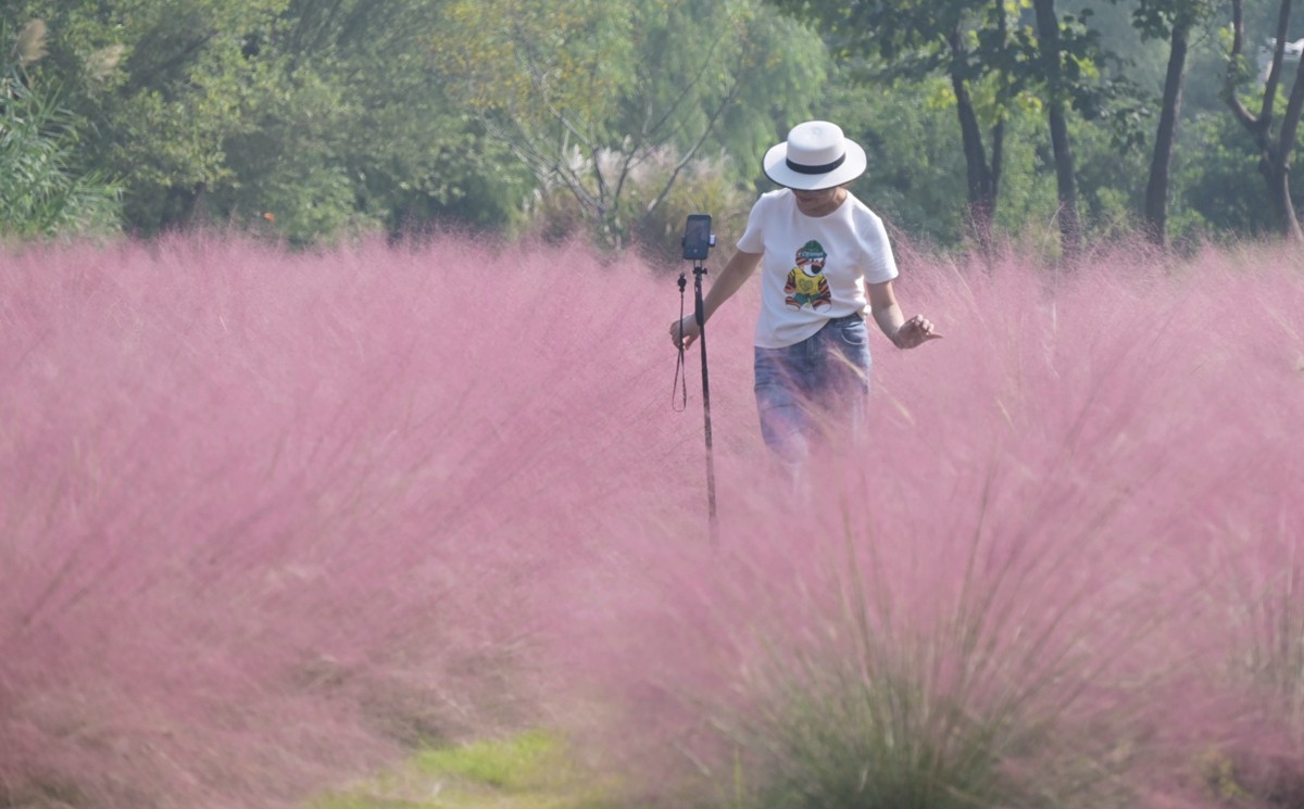 2024，宁波植物园秋拍之四