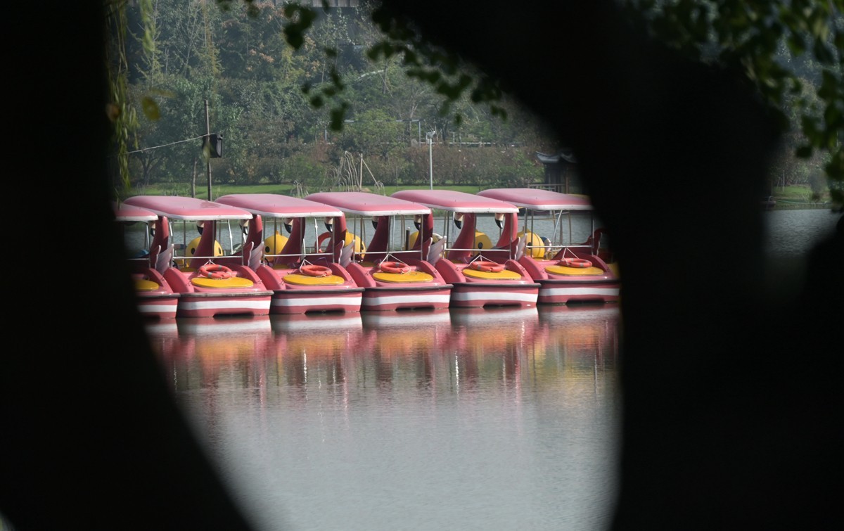 2024，宁波植物园秋拍之四