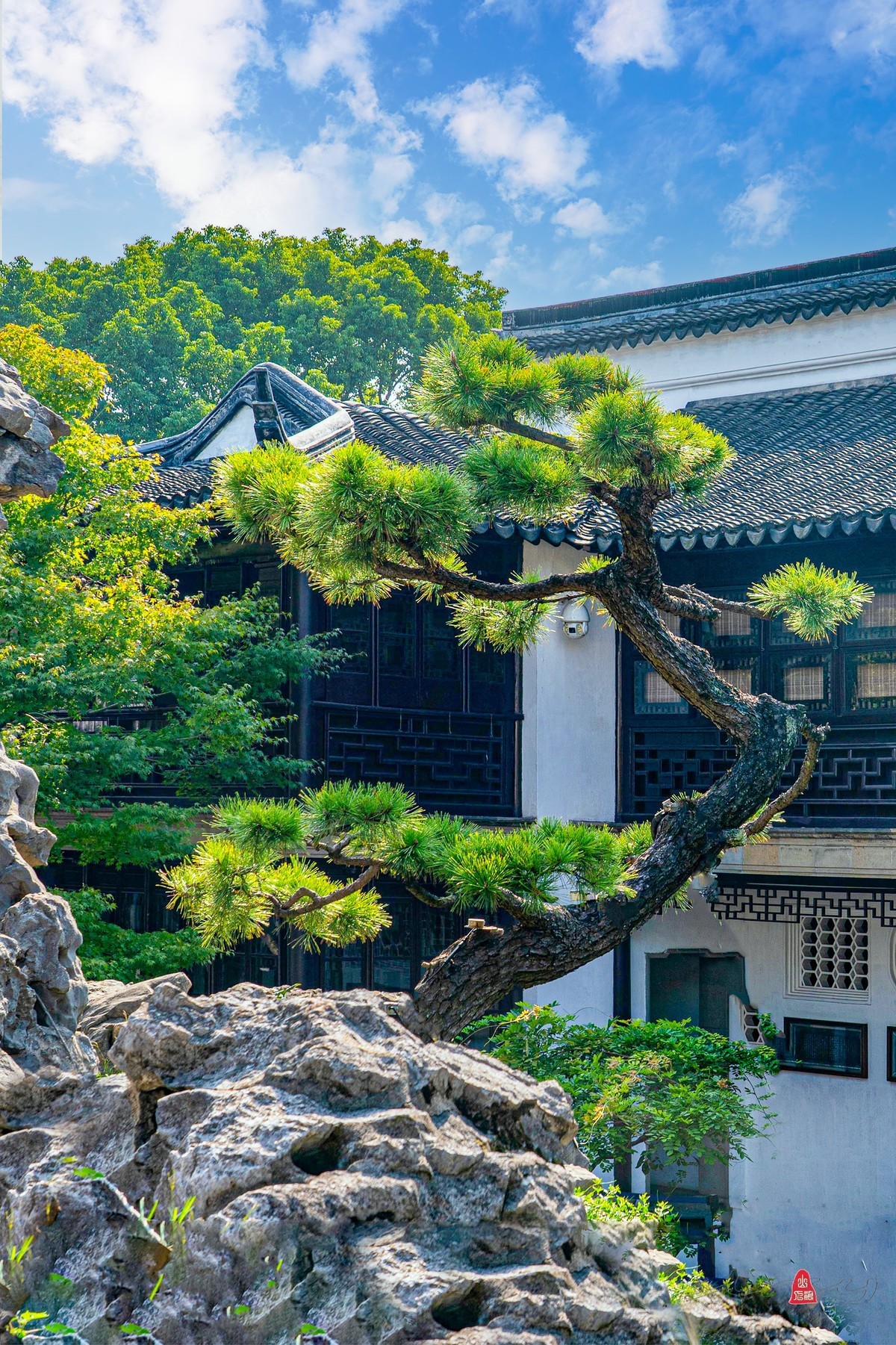 苏州环秀山庄（二）