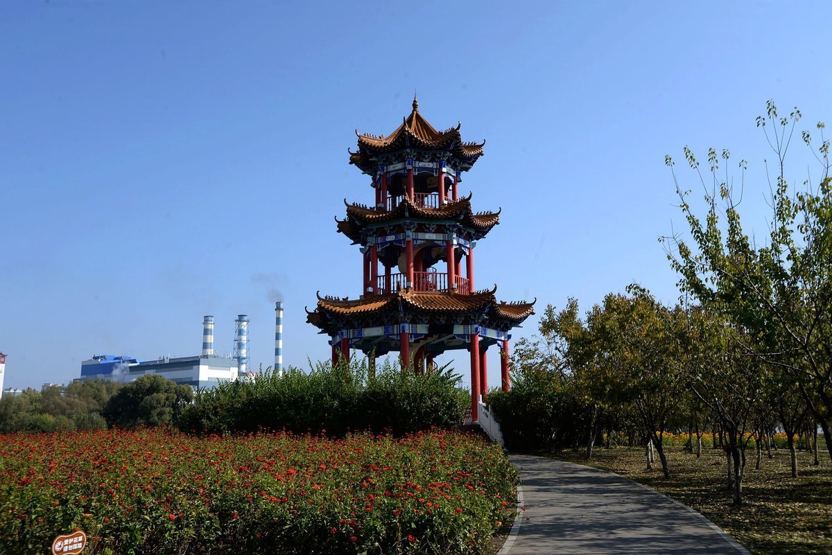 江滨公园秋色（5）