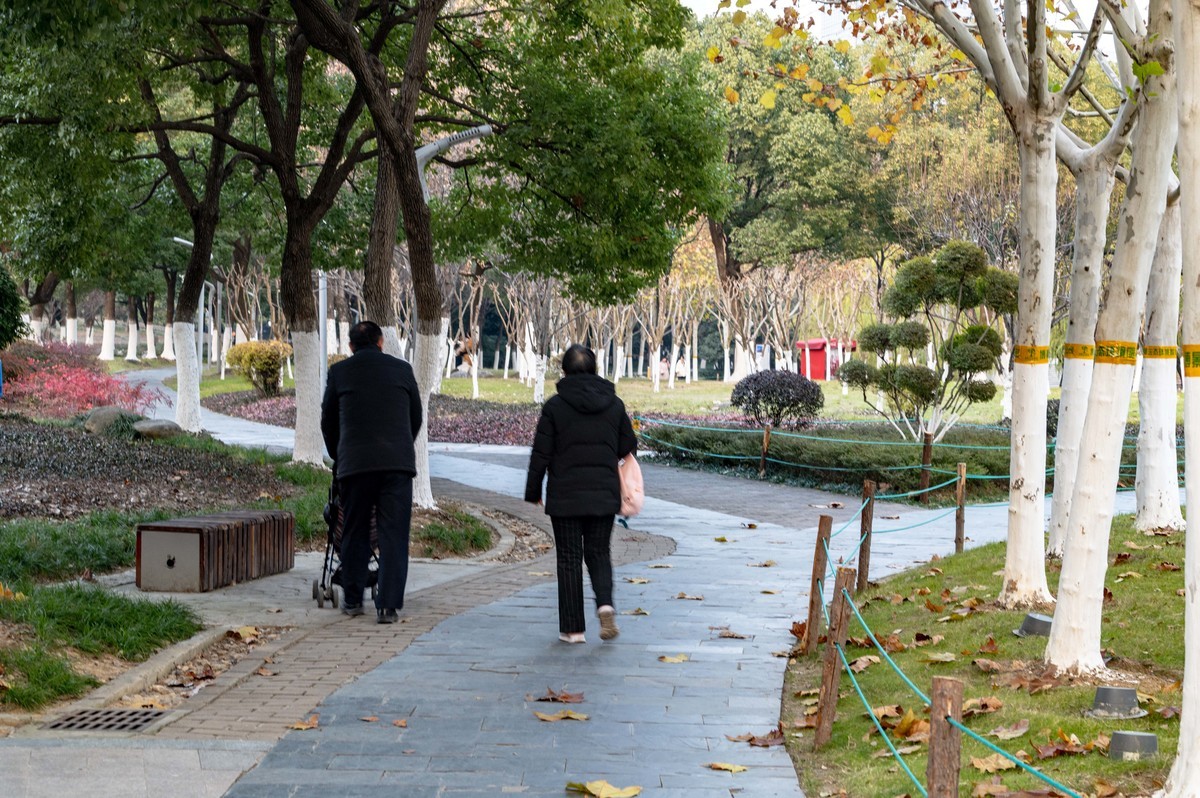 庐州印象（428）冬季天鹅湖