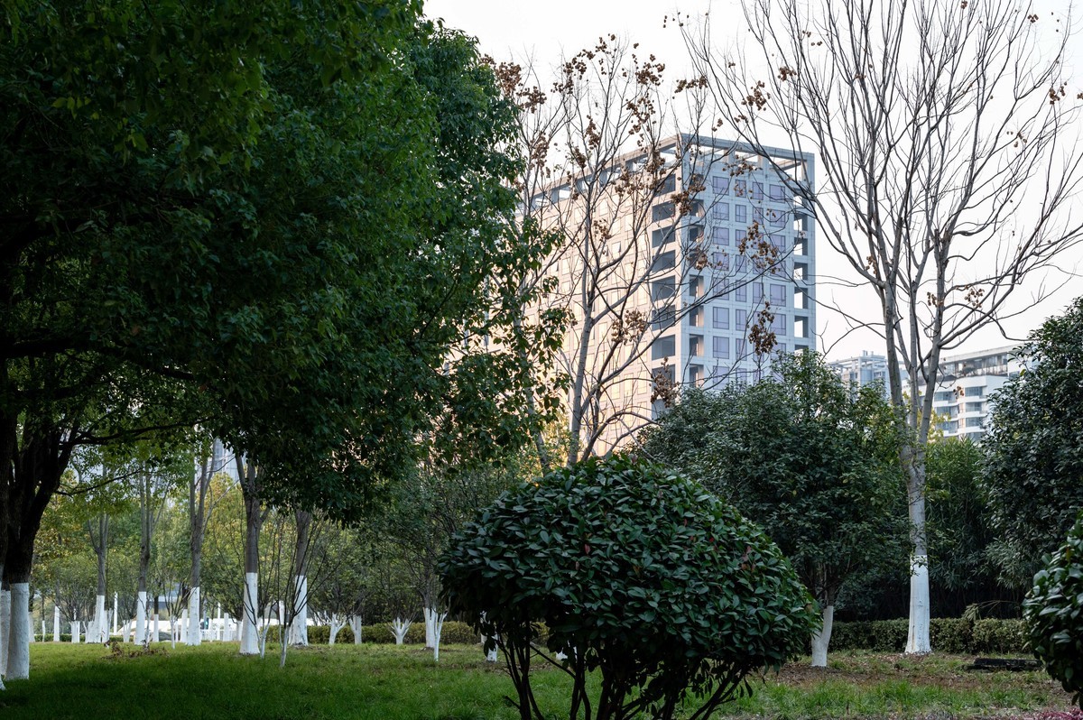 庐州印象（428）冬季天鹅湖