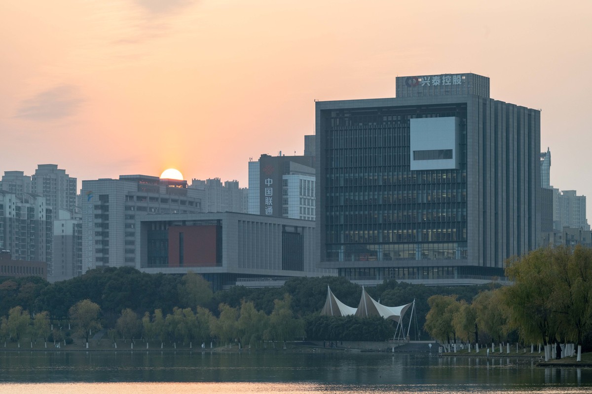 庐州印象（428）冬季天鹅湖