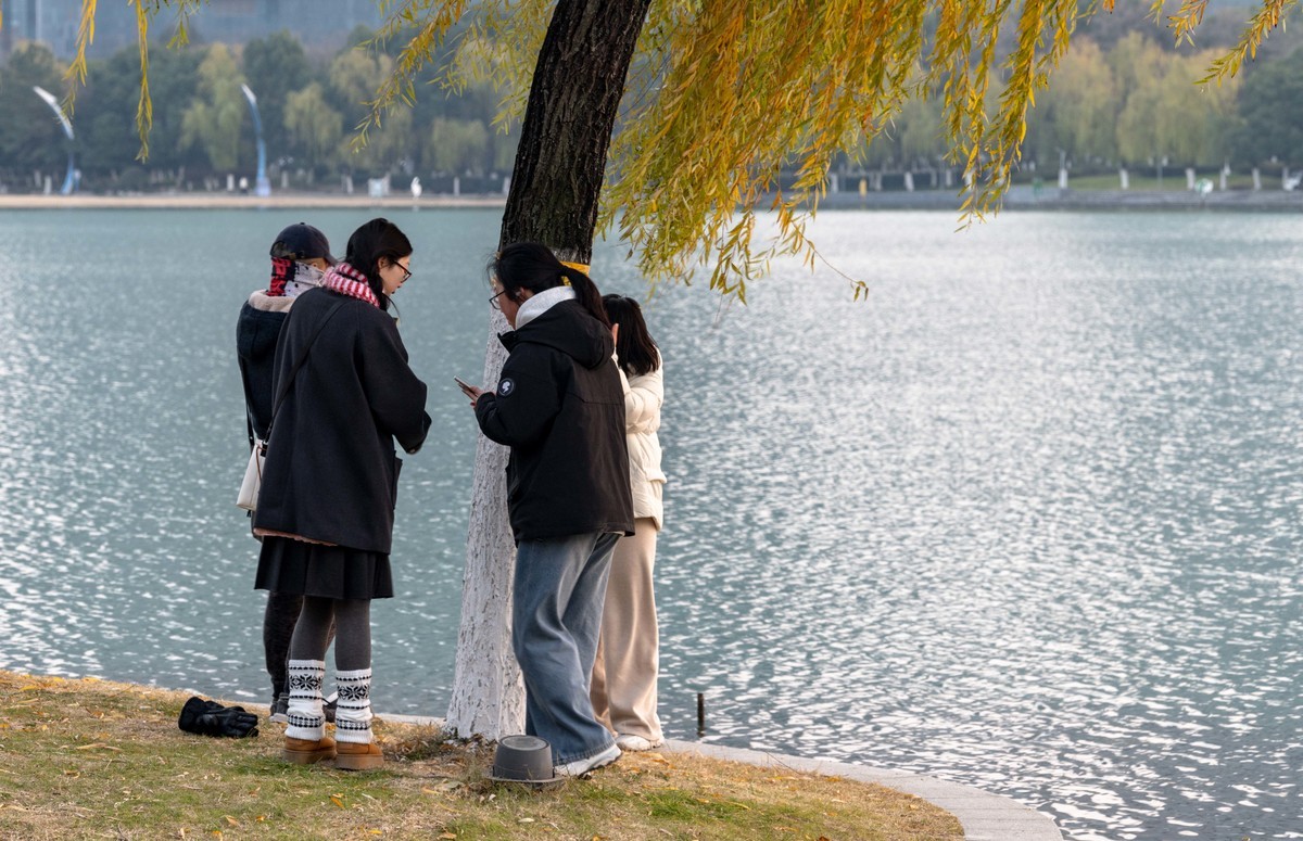 庐州印象（428）冬季天鹅湖