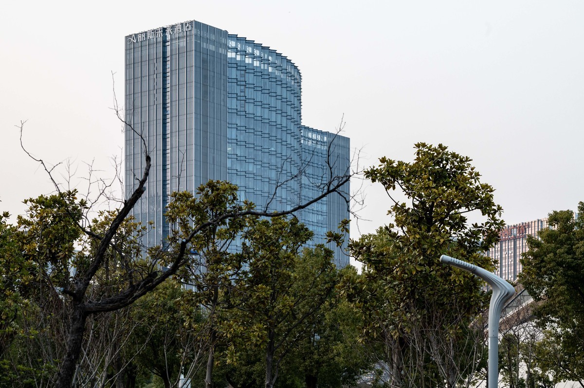 庐州印象（428）冬季天鹅湖