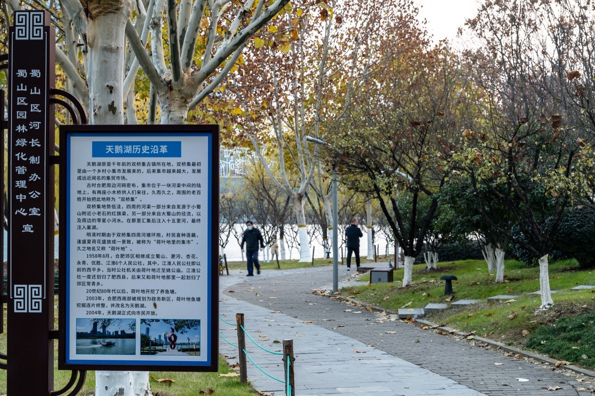 庐州印象（428）冬季天鹅湖