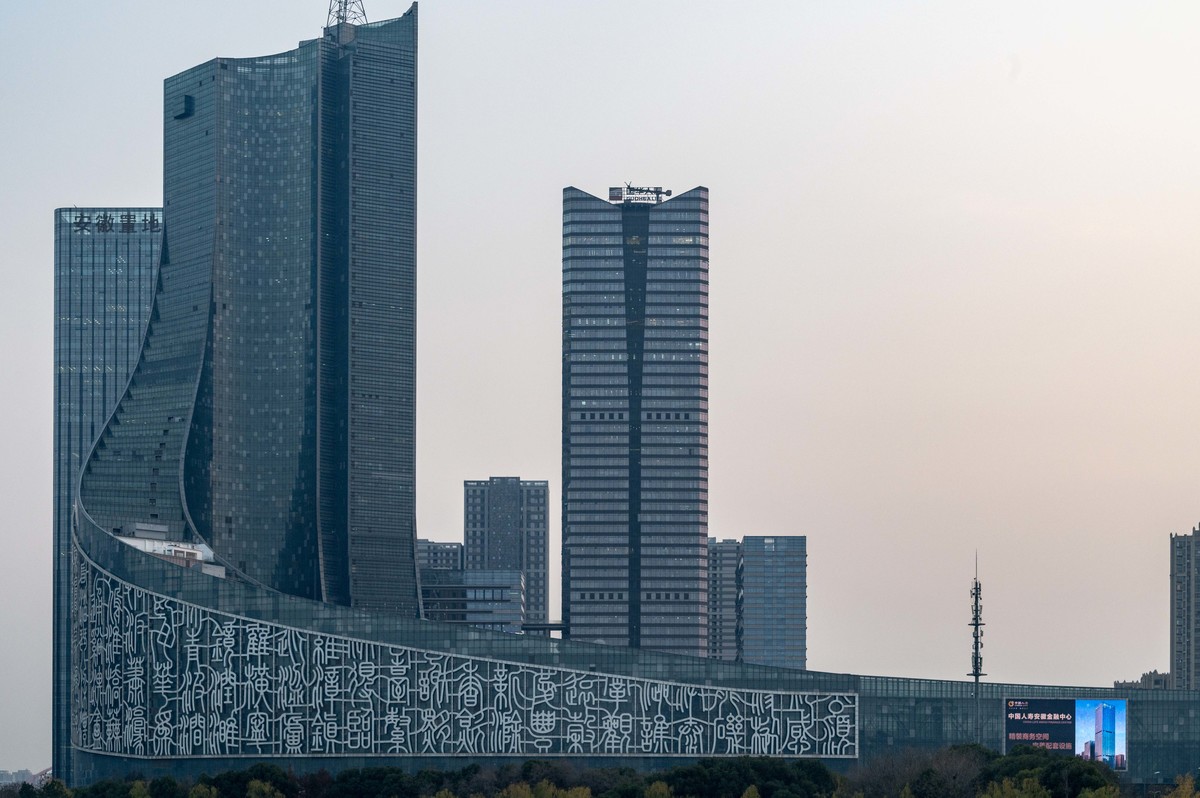 庐州印象（428）冬季天鹅湖