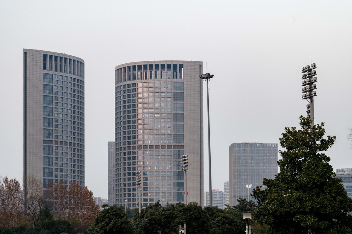 庐州印象（428）冬季天鹅湖