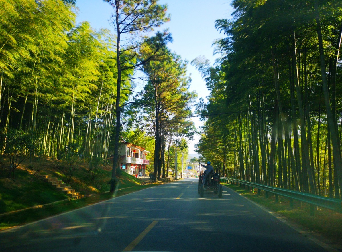 在皖南小川藏线上我看到就是这样1