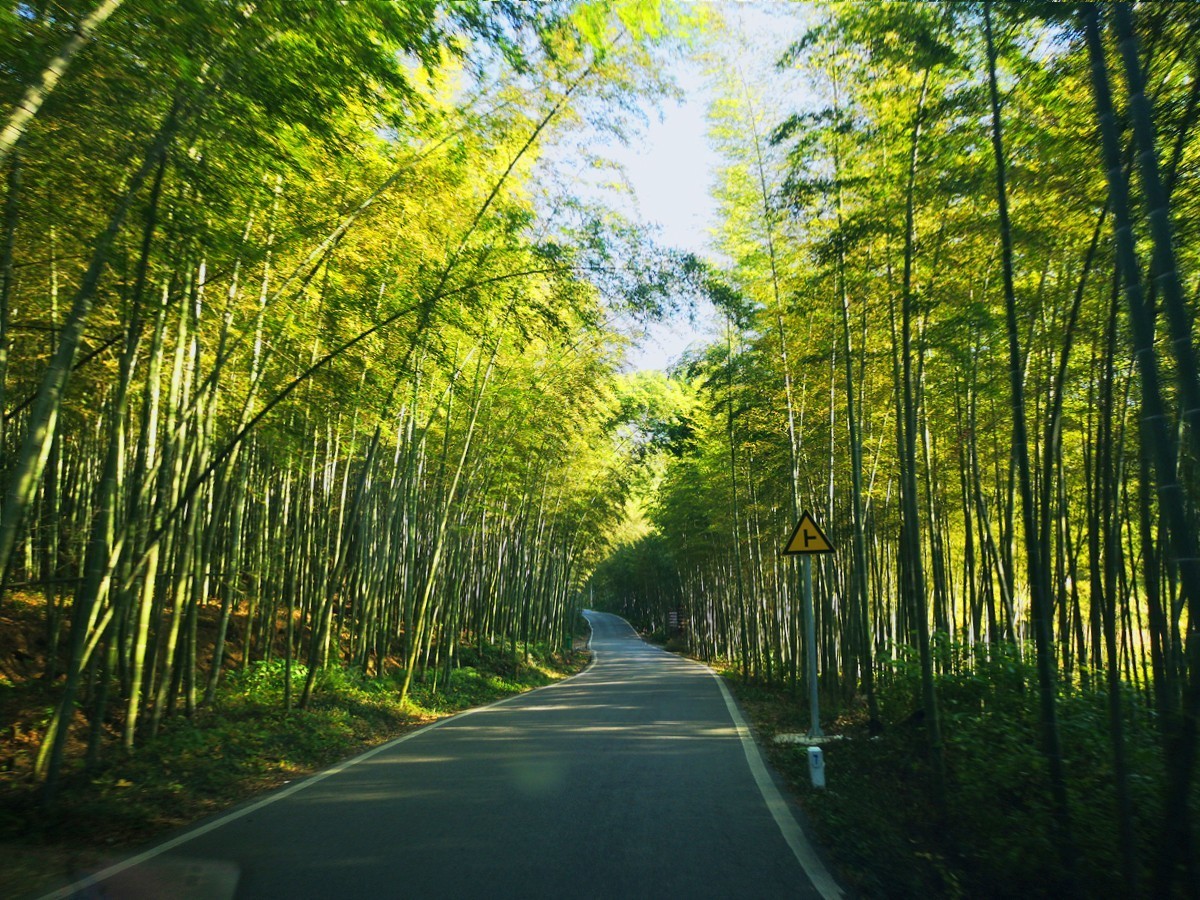 在皖南小川藏线上我看到就是这样1