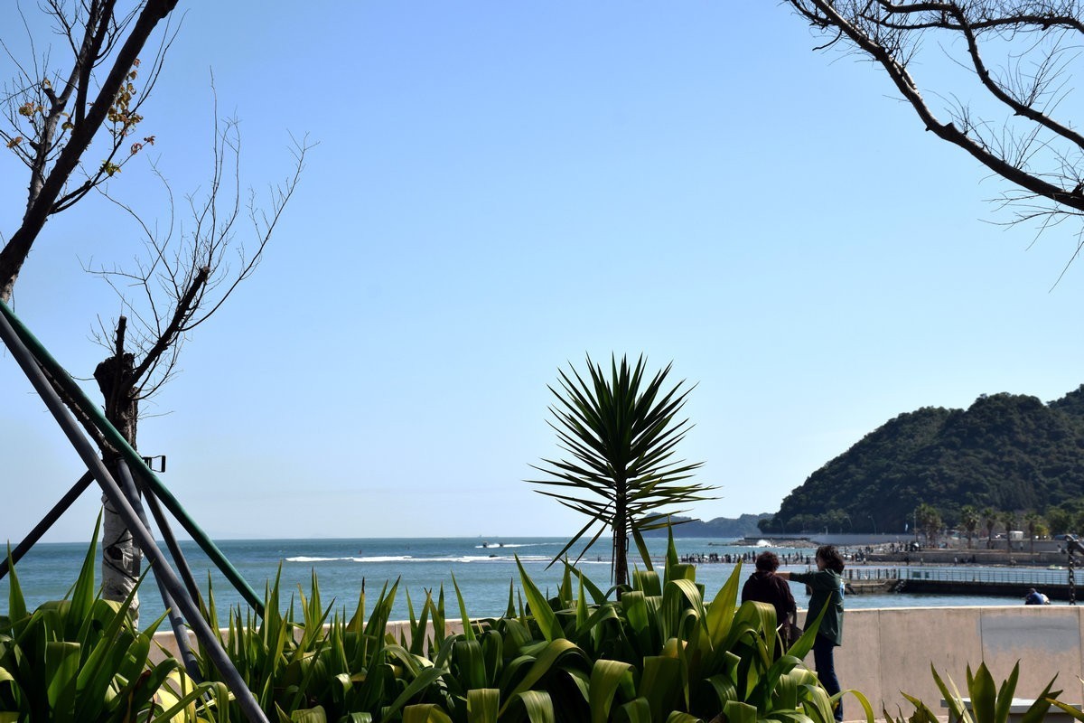 2025春节 广东行（104）杨梅坑海岸