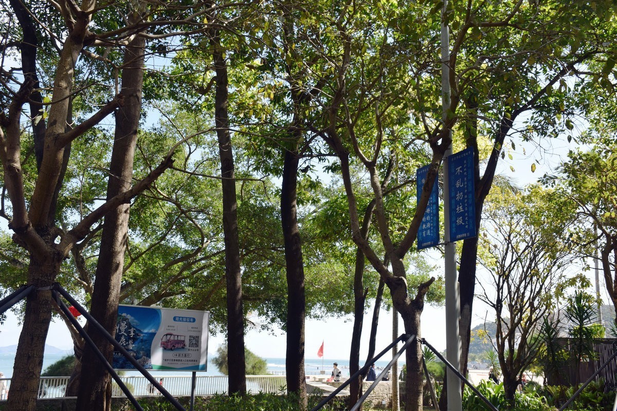 2025春节 广东行（104）杨梅坑海岸