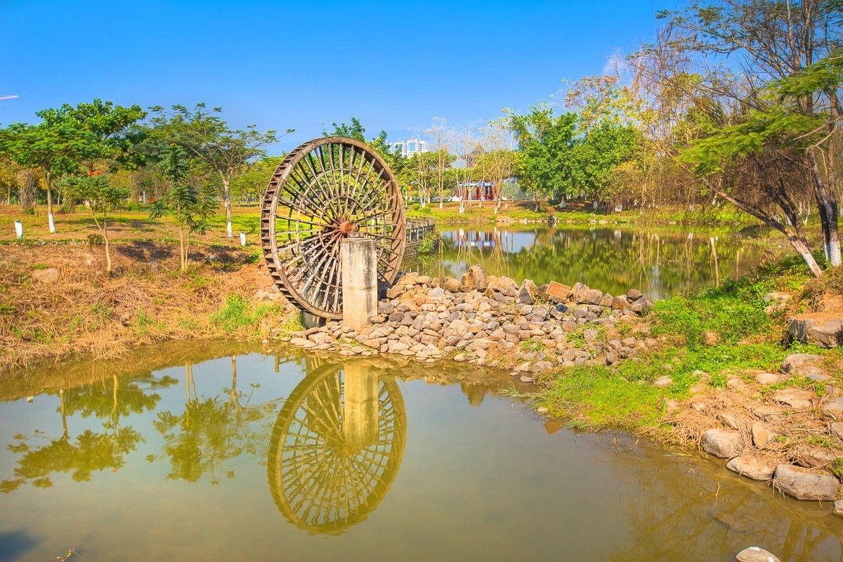 2025-04-11云南瑞丽弄莫湖公园（一)