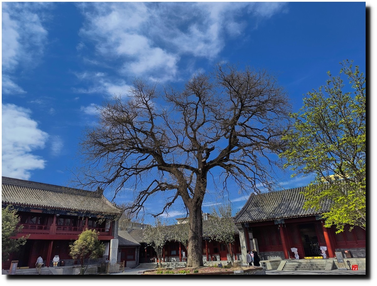 北京宣南文化博物馆游览（手机版 ）！