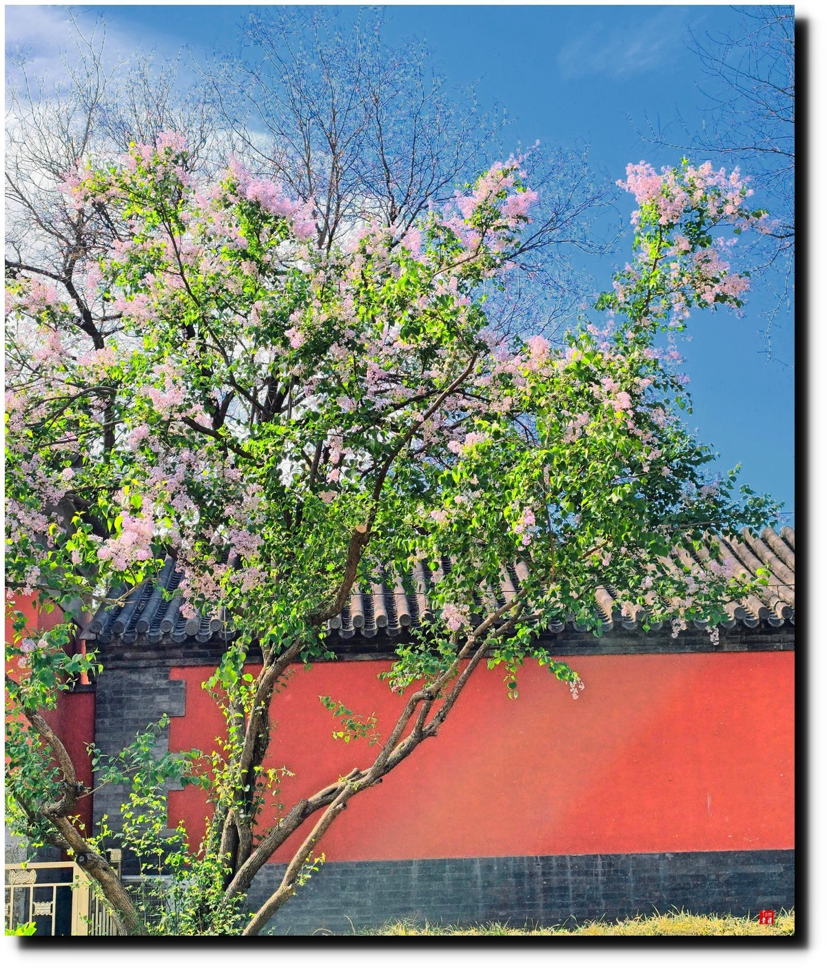 北京宣南文化博物馆游览（手机版 ）！