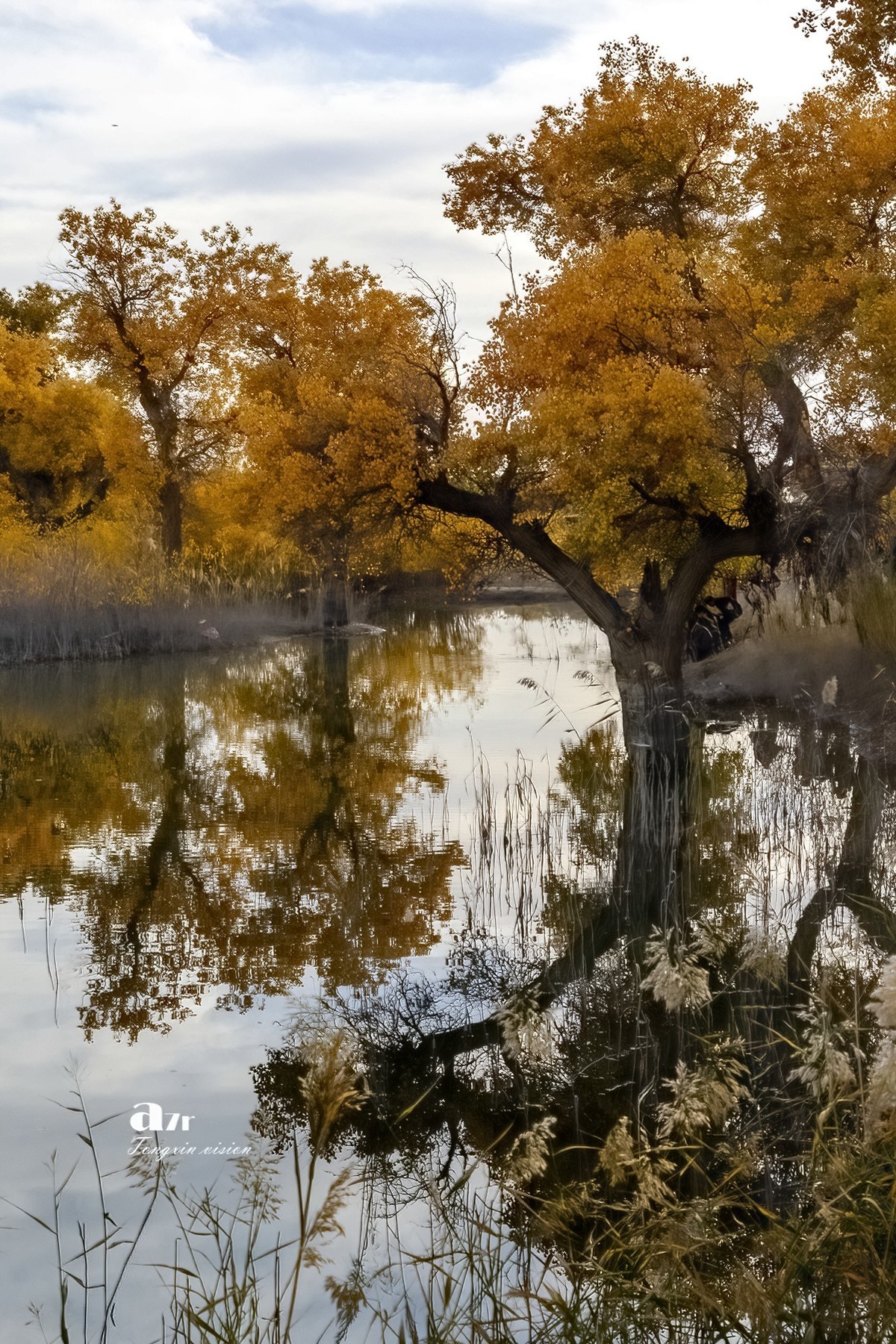 南疆行——罗布人村寨的秋（4）