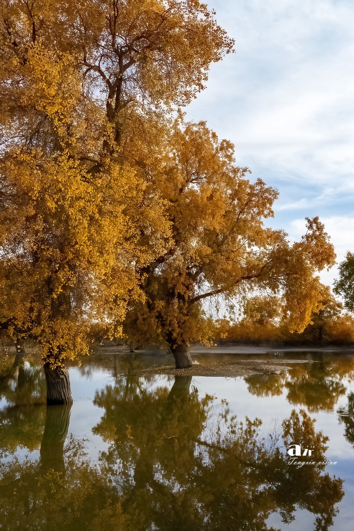 南疆行——罗布人村寨的秋（4）