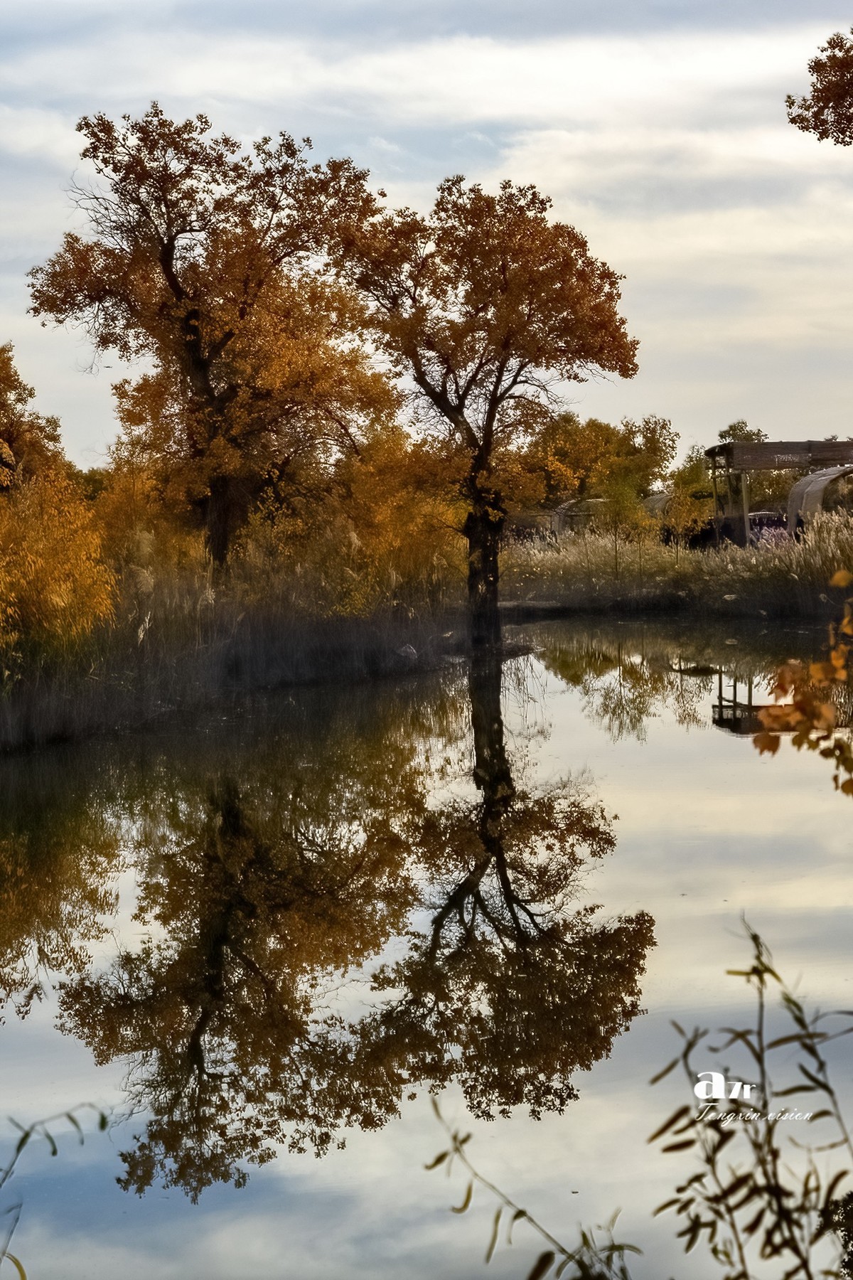 南疆行——罗布人村寨的秋（4）