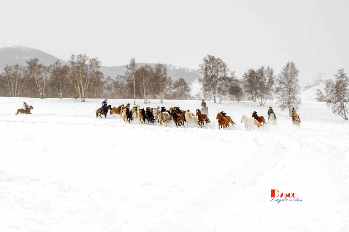 策马奔腾（74）