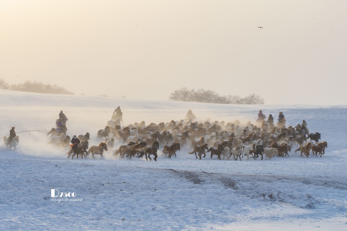 策马奔腾（74）