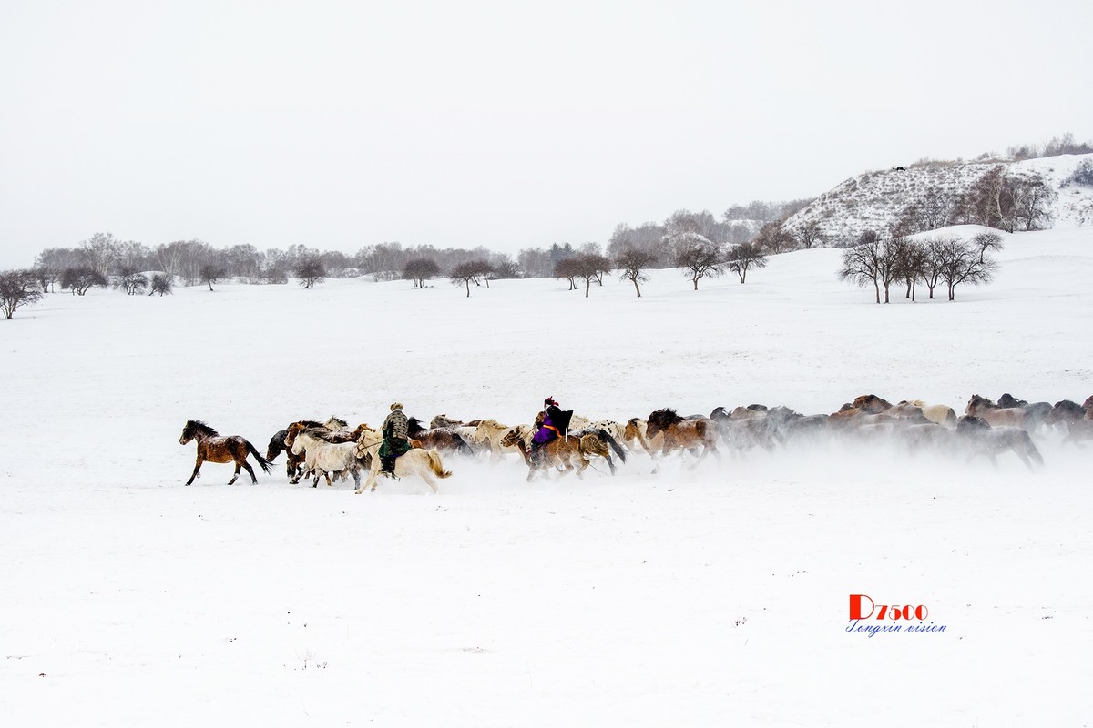 策马奔腾（74）