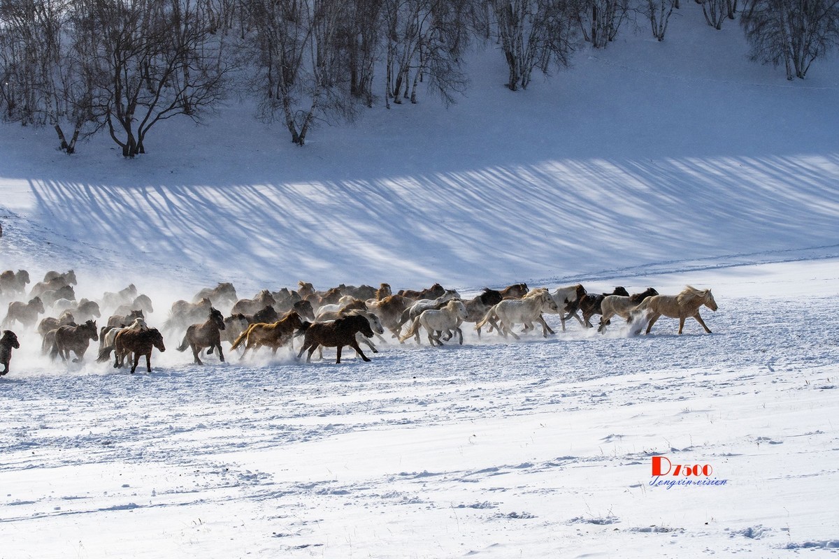 策马奔腾（74）