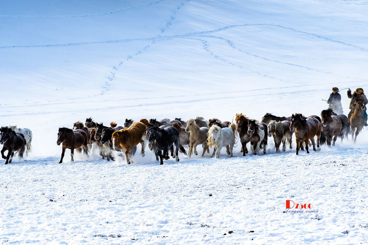 策马奔腾（74）