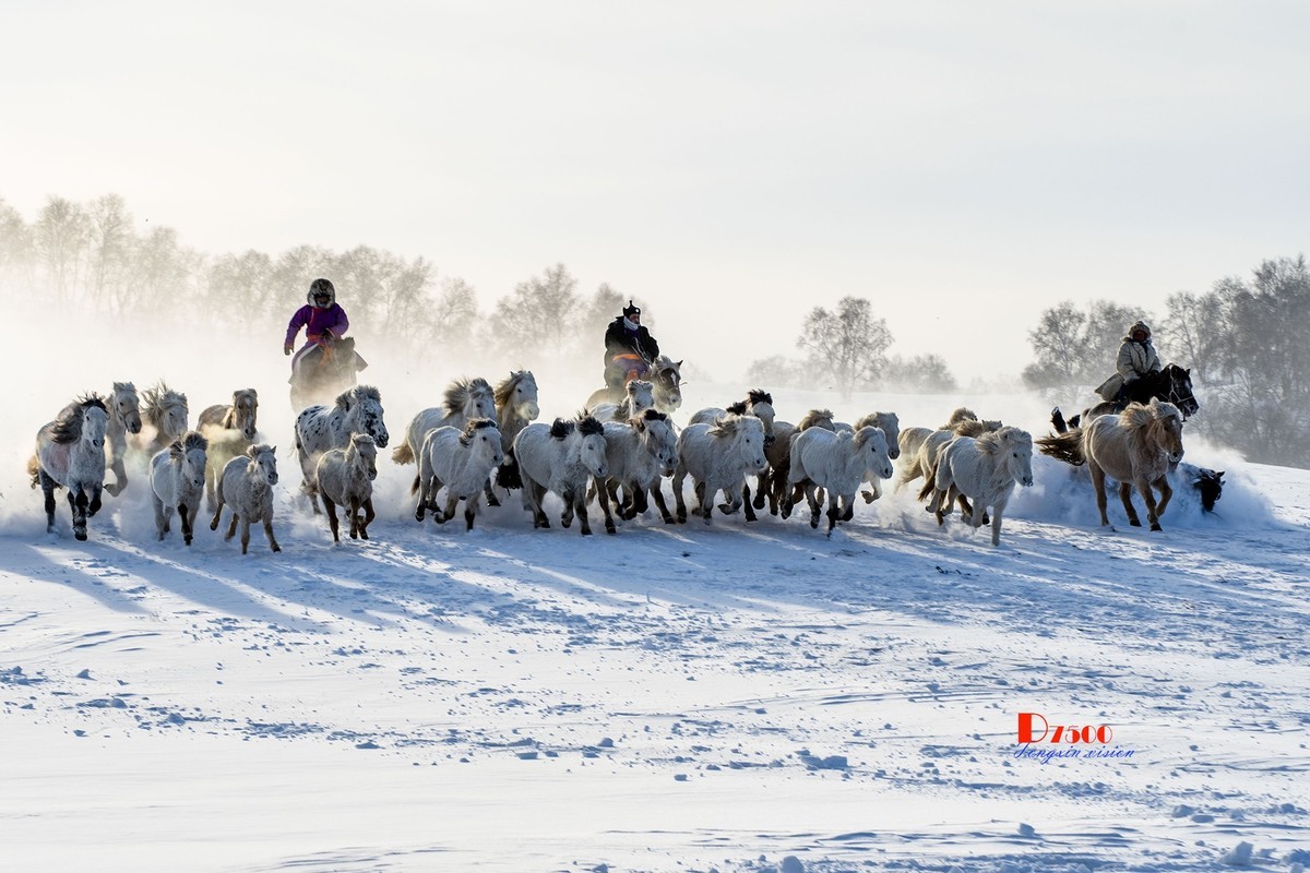 策马奔腾（74）