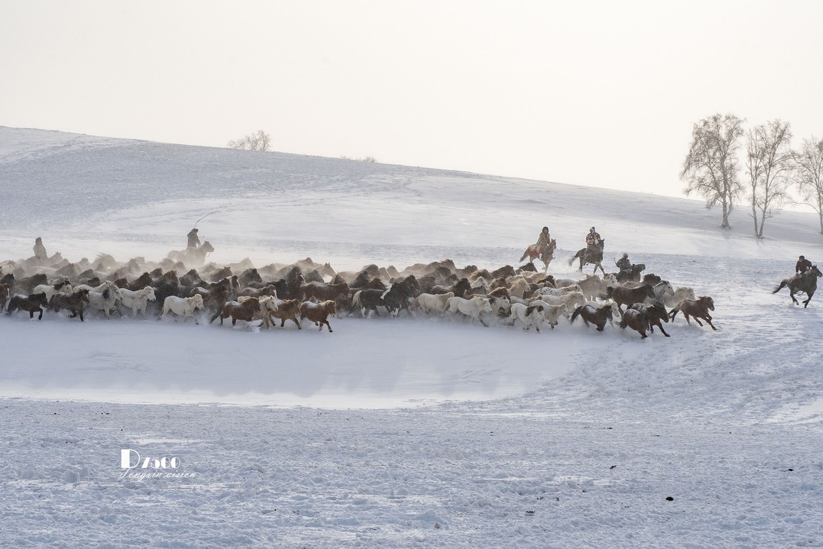 策马奔腾（74）