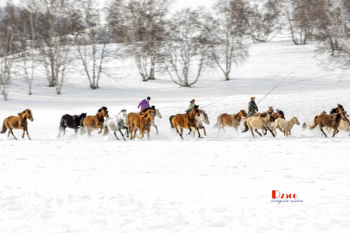 策马奔腾（74）