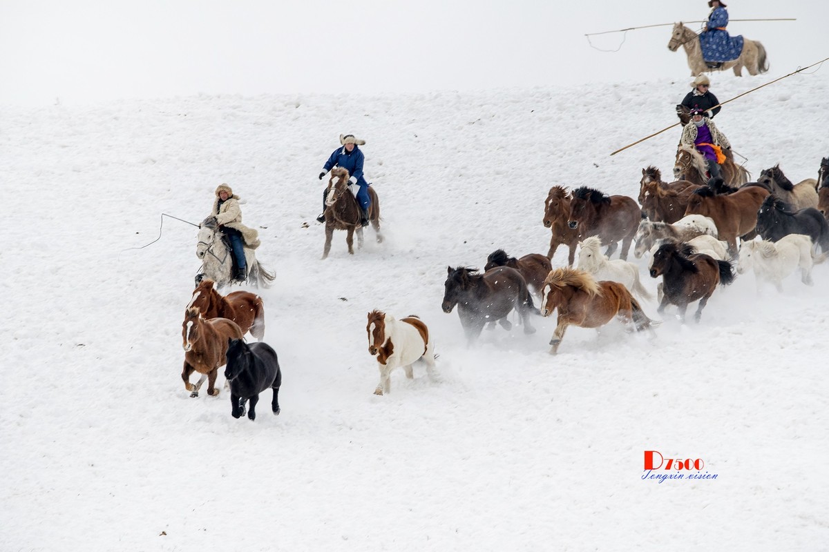 策马奔腾（74）