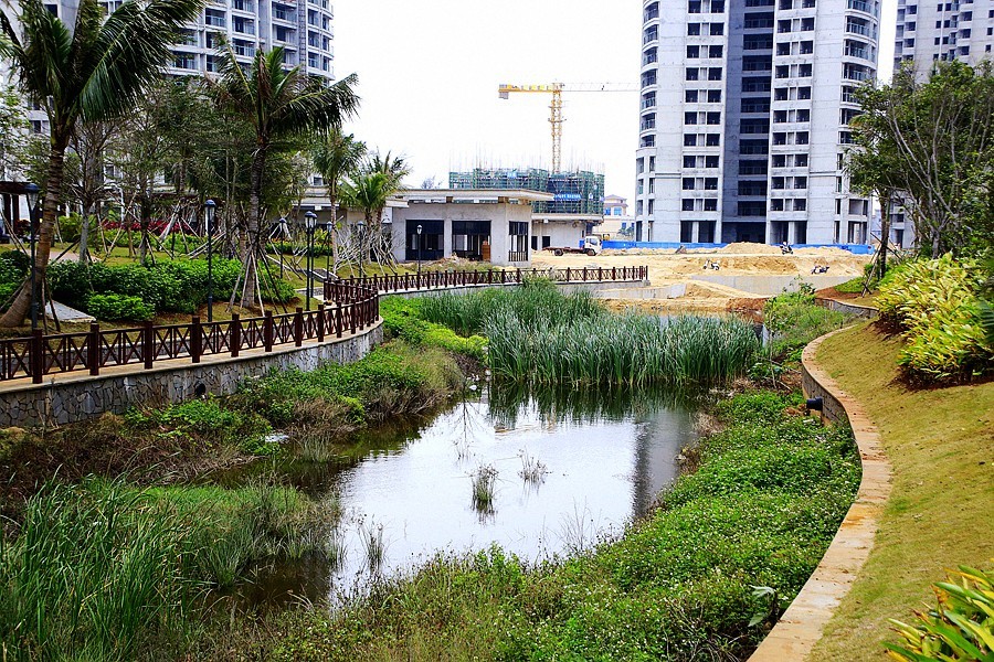 《不老松：忆海南游记》(15)海南临髙长島蓝湾的美景！