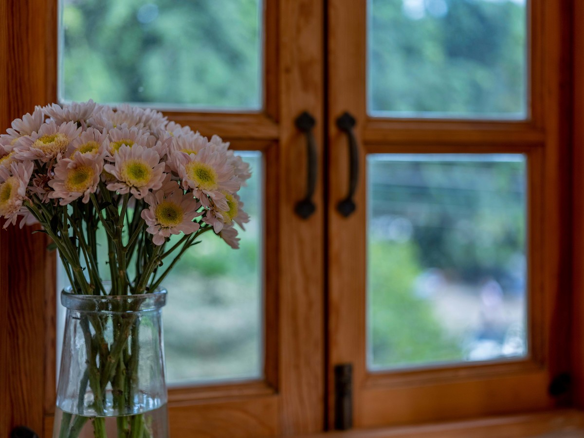 GFX50Sii+ GF 63 F2.8（ 试镜-由朝试到晚 ）