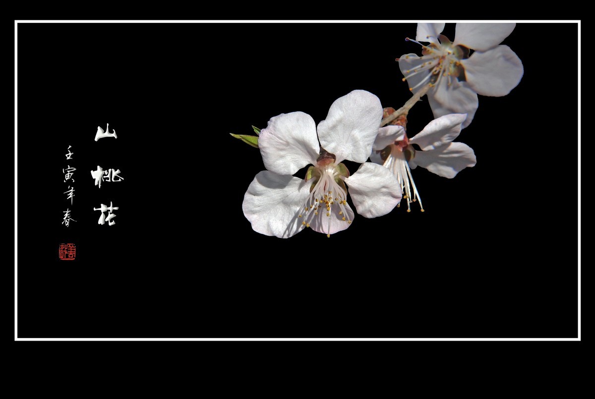 桃花浅深处，似匀深浅妆