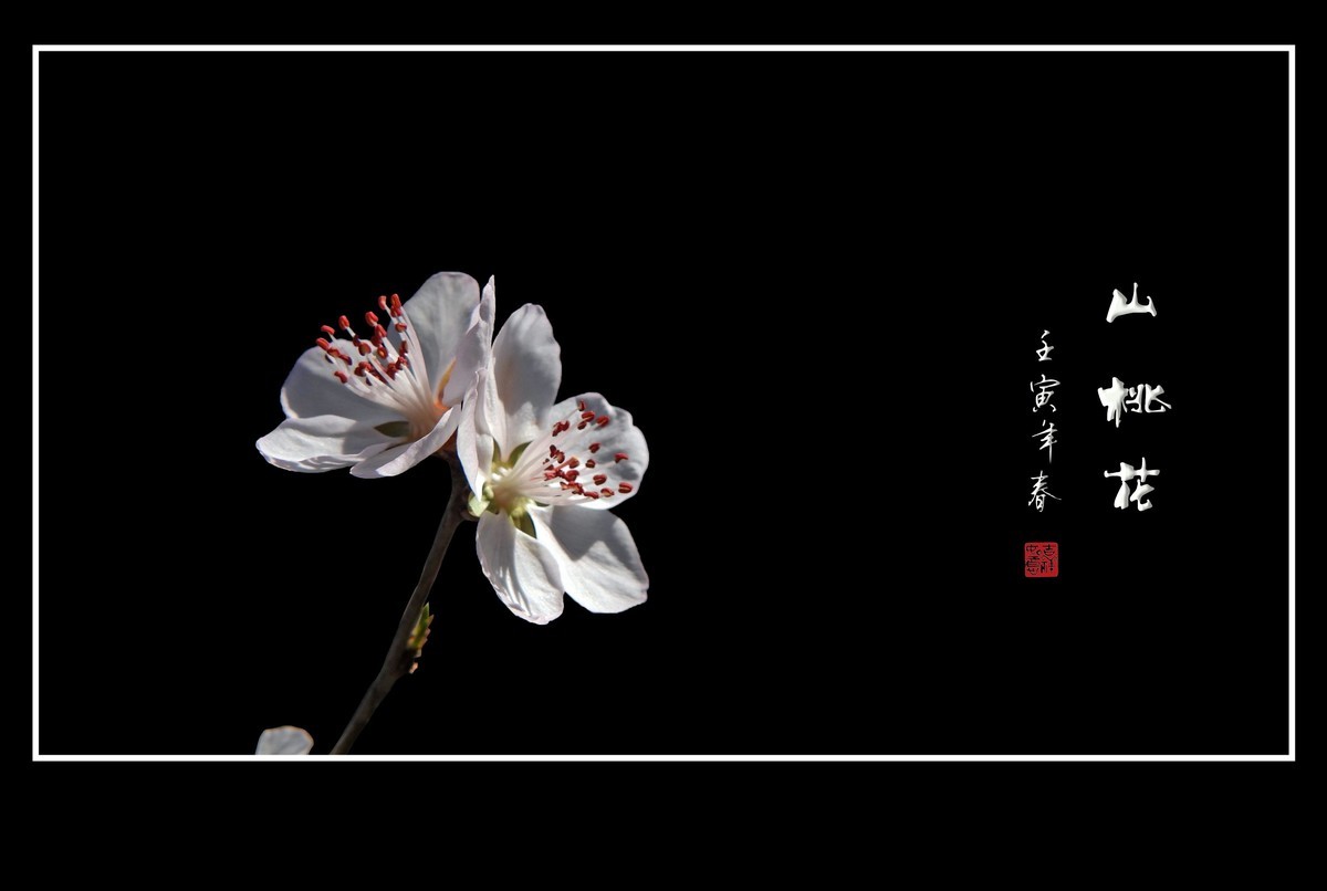 桃花浅深处，似匀深浅妆