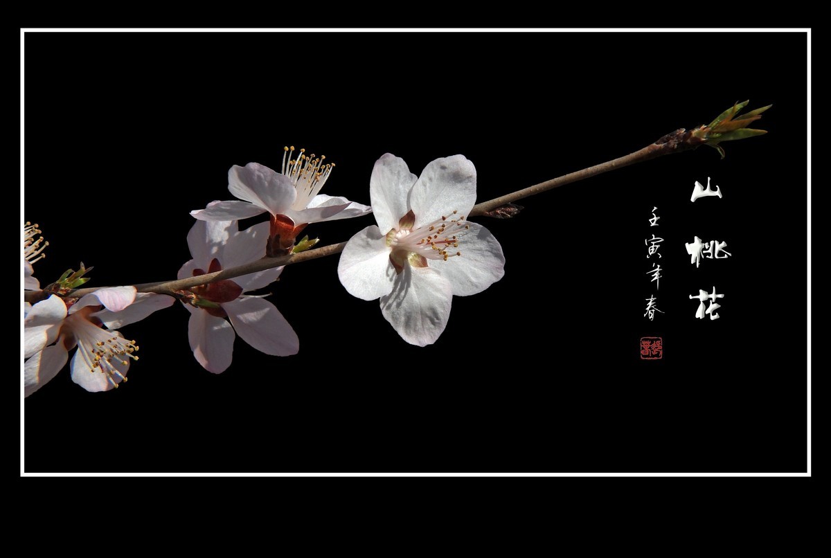 桃花浅深处，似匀深浅妆