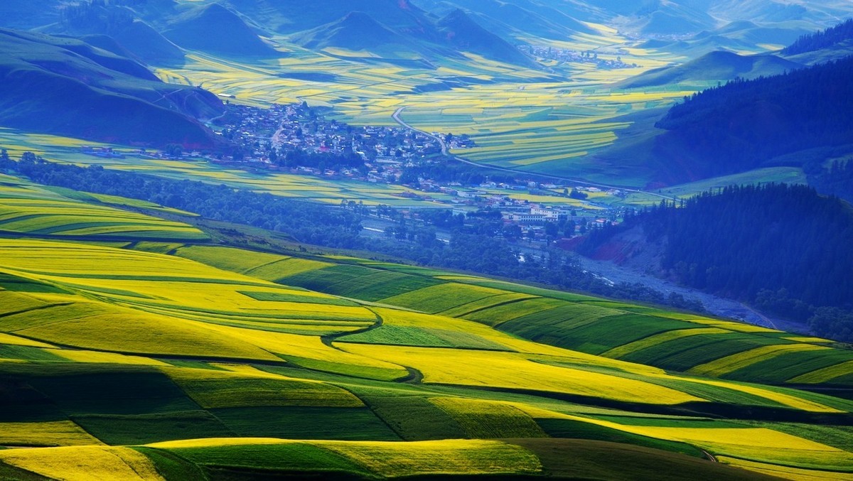 怀念宾得的色彩