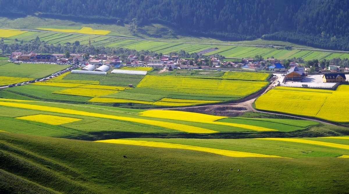 怀念宾得的色彩