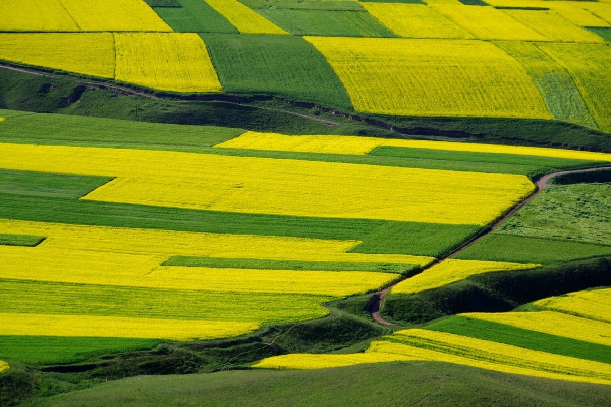 怀念宾得的色彩