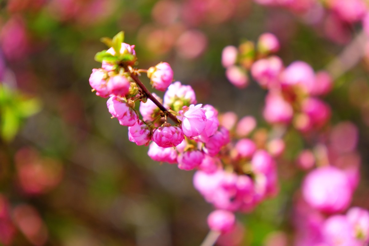骑行路边随手拍