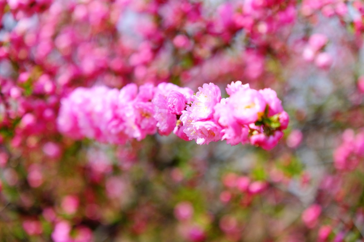 骑行路边随手拍